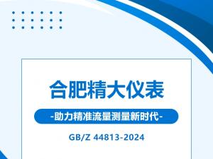 GB/Z 44813-2024ϷʾǱ׼